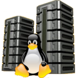 Linux bei *BSD OS ir kt. atviro kodo programinės įrangos serverių paslaugos